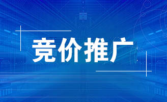 企业网站做推广究竟选择seo还是竞价呢？