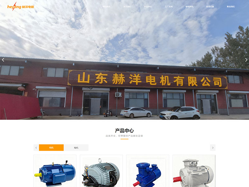 网站建设案例：山东赫洋电机有限公司公司官网